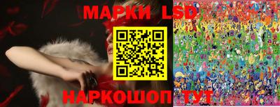 apvp Гатчина