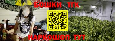 apvp Гатчина