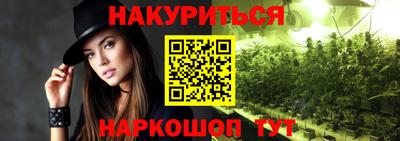 apvp Гатчина