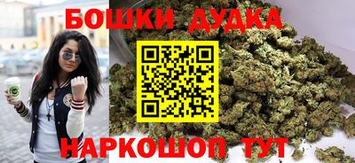 apvp Гатчина