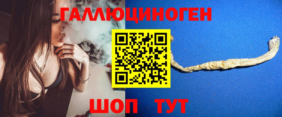 наркошоп  Галлюциногенные грибы прущие грибы  Вход с VPN  Волоколамск 