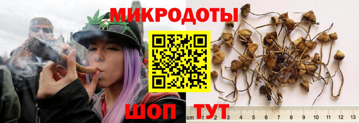 Меф   Гашиш  ТГК  Волоколамск  Вход с VPN  Как найти наркотики?  COCAIN  МАРИХУАНА 