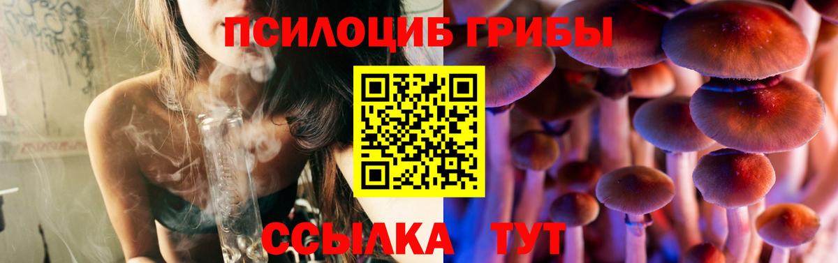 Галлюциногенные грибы мицелий Волоколамск